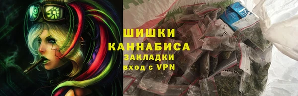 дживик Козловка