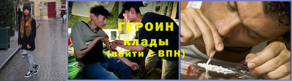 прущие грибы Магас