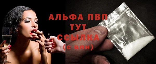 крисы Козельск