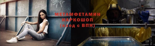 крисы Козельск