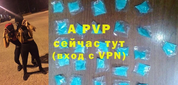 крисы Козельск