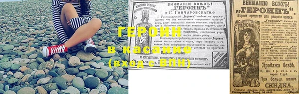 прущие грибы Магас