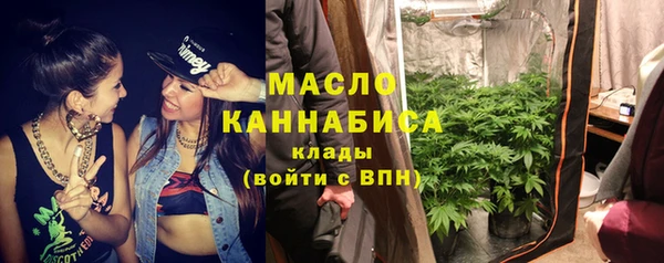 крисы Козельск