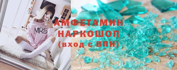 крисы Козельск