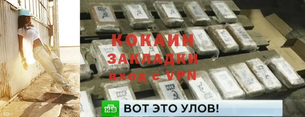 крисы Козельск